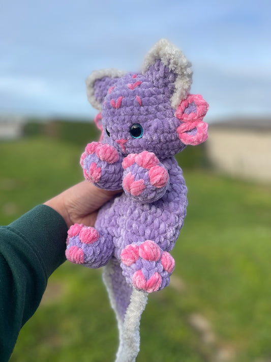 Eliott le Chaxolot 🐾