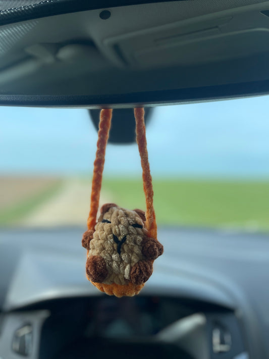 Déco de rétro Capybara 🤎