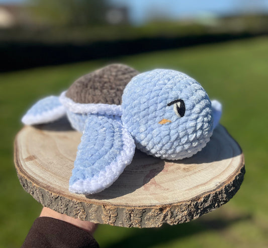 Candy la tortue 🐢