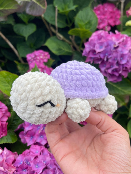 Baby tortue 🐢