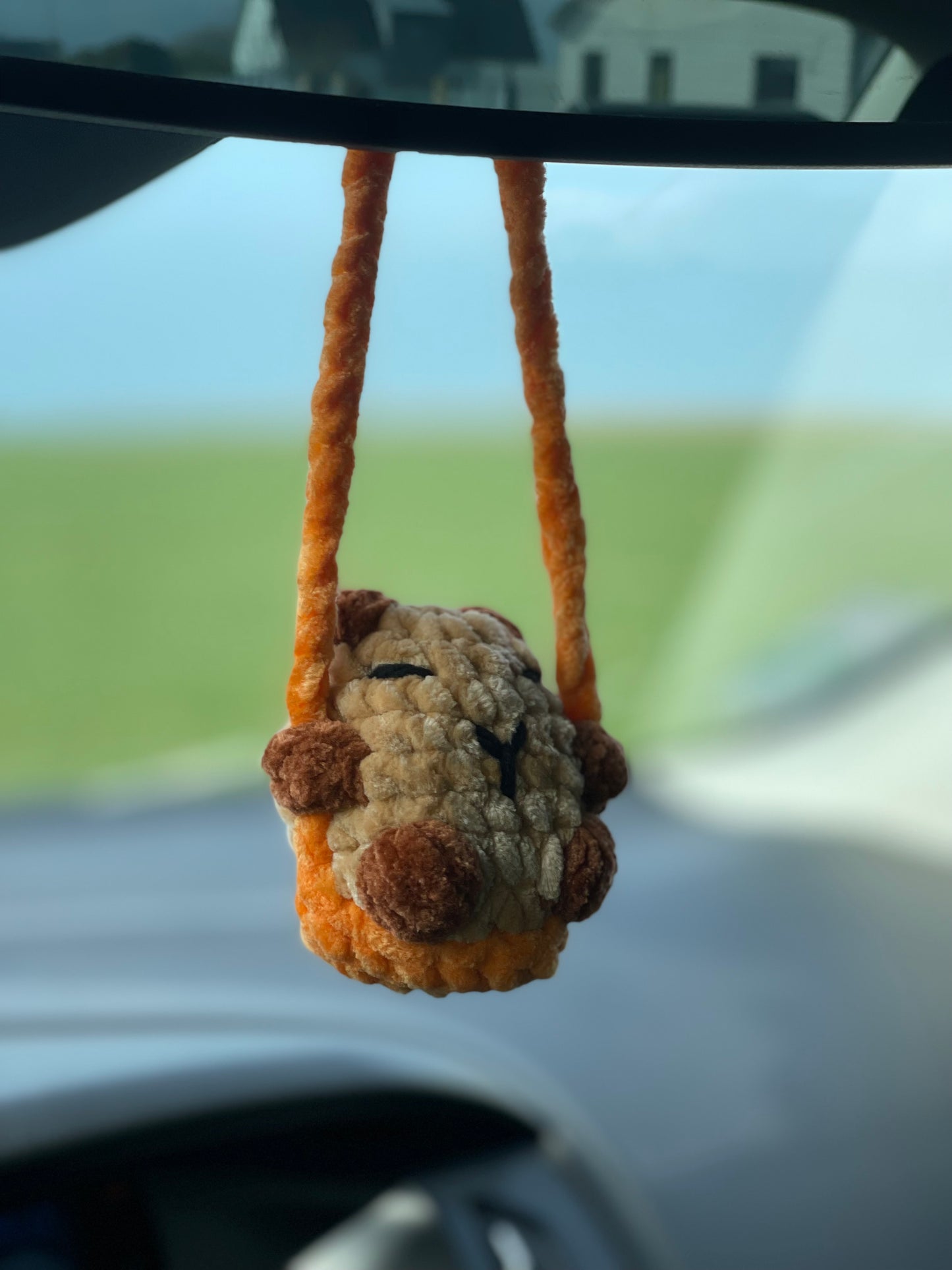 Déco de rétro Capybara 🤎
