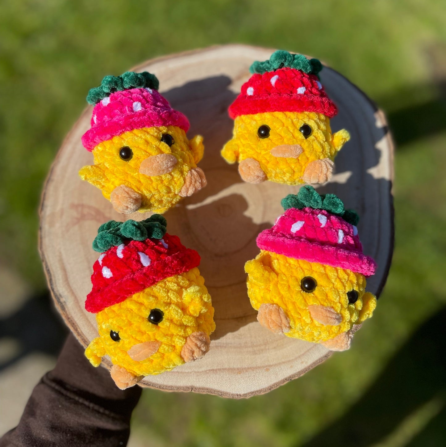 Mini poussin fraise 🐣🍓