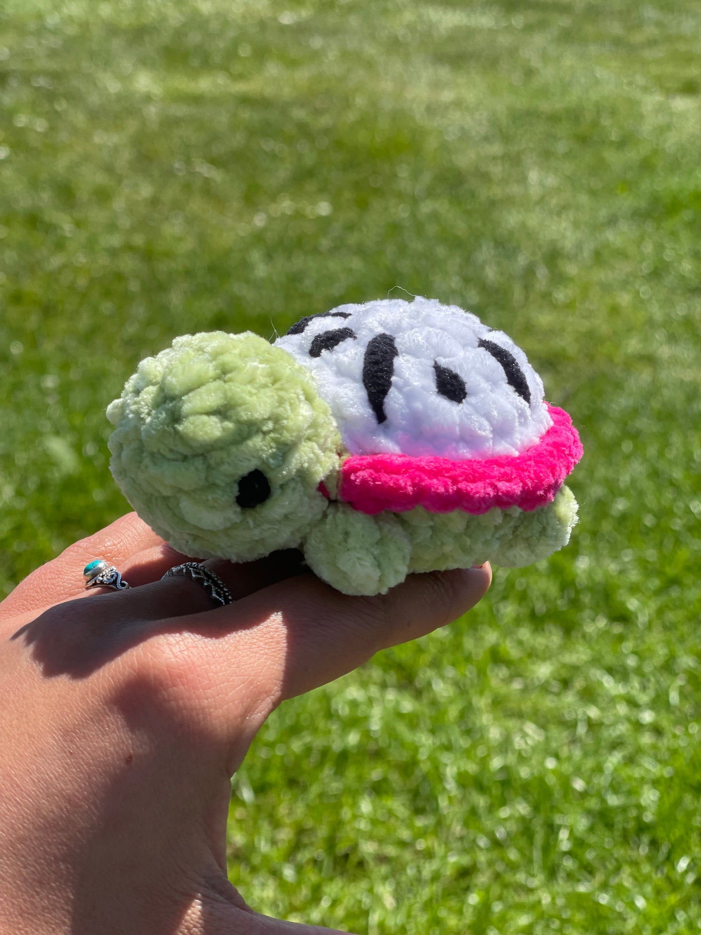 Mini tortue fruits 🍓