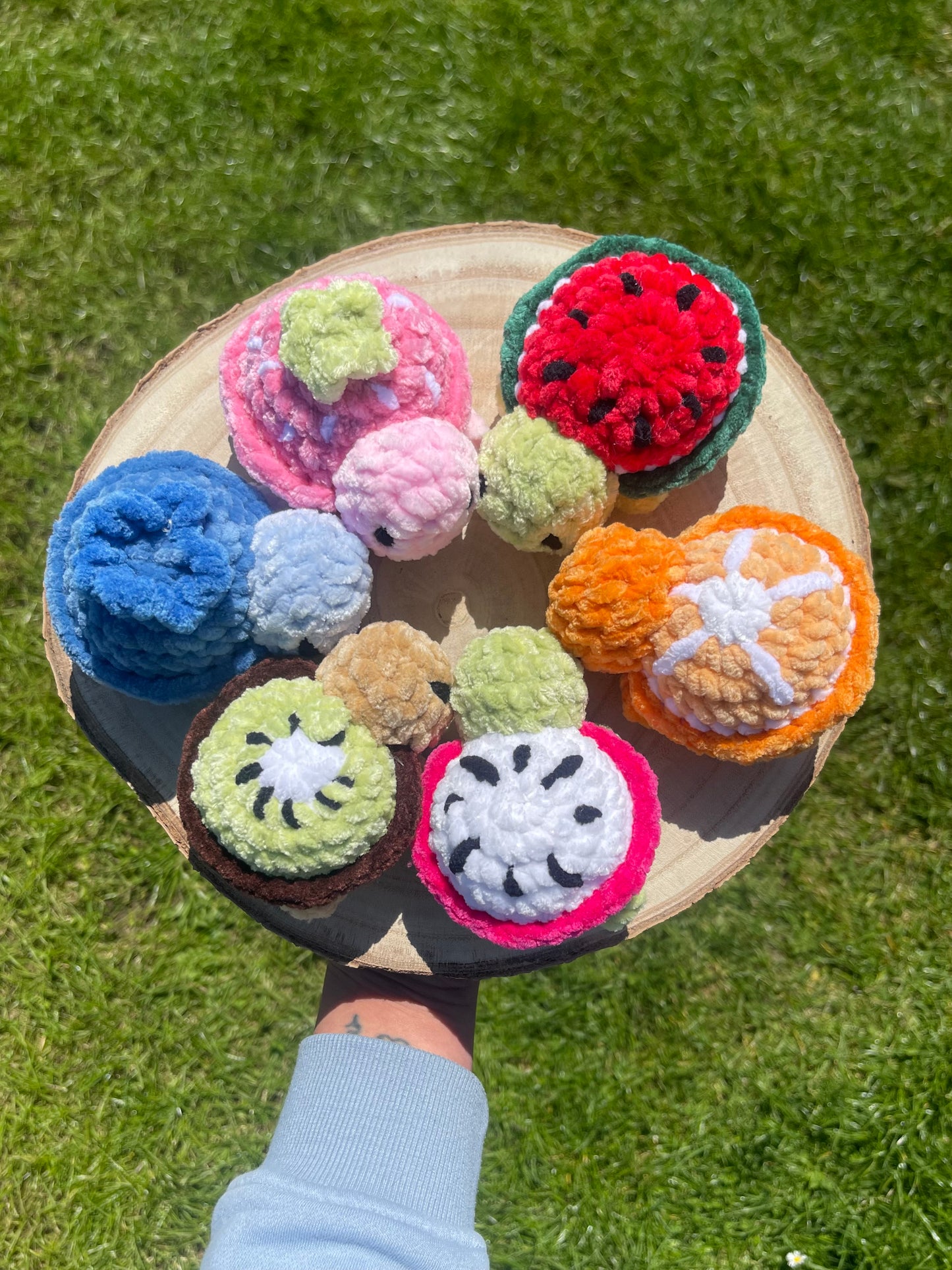 Mini tortue fruits 🍓