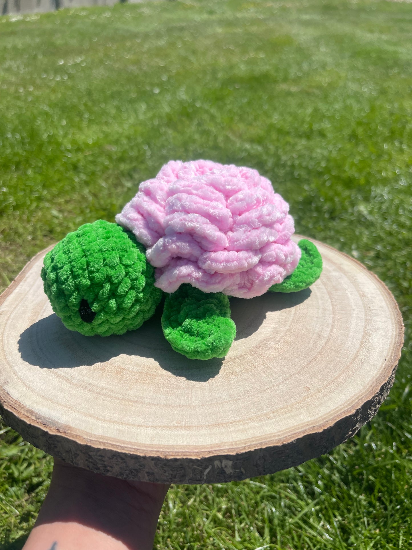 Tortue fleur 🌸