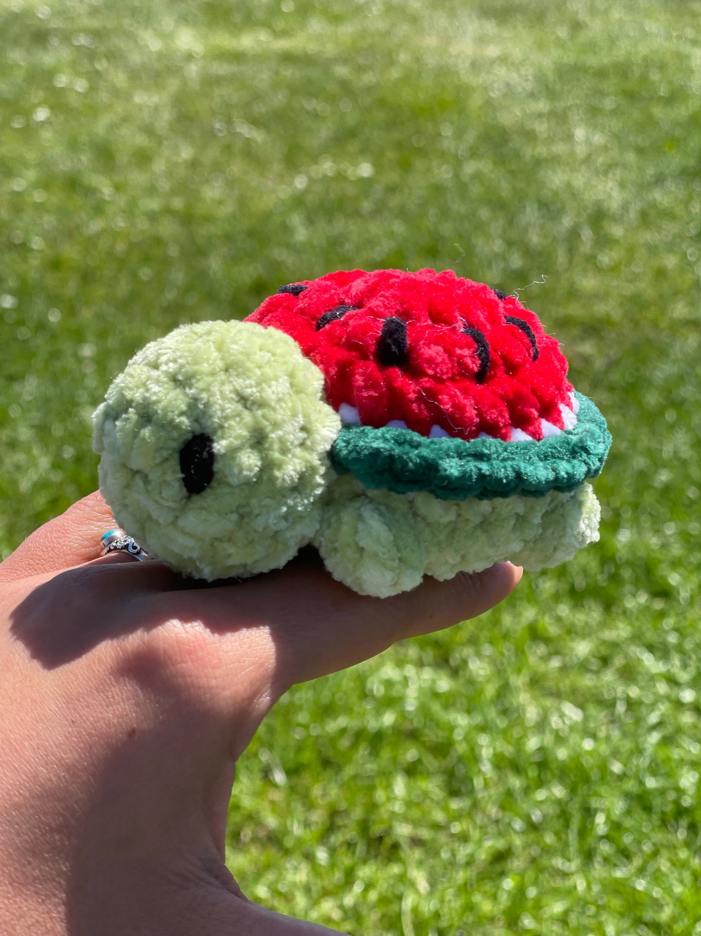 Mini tortue fruits 🍓
