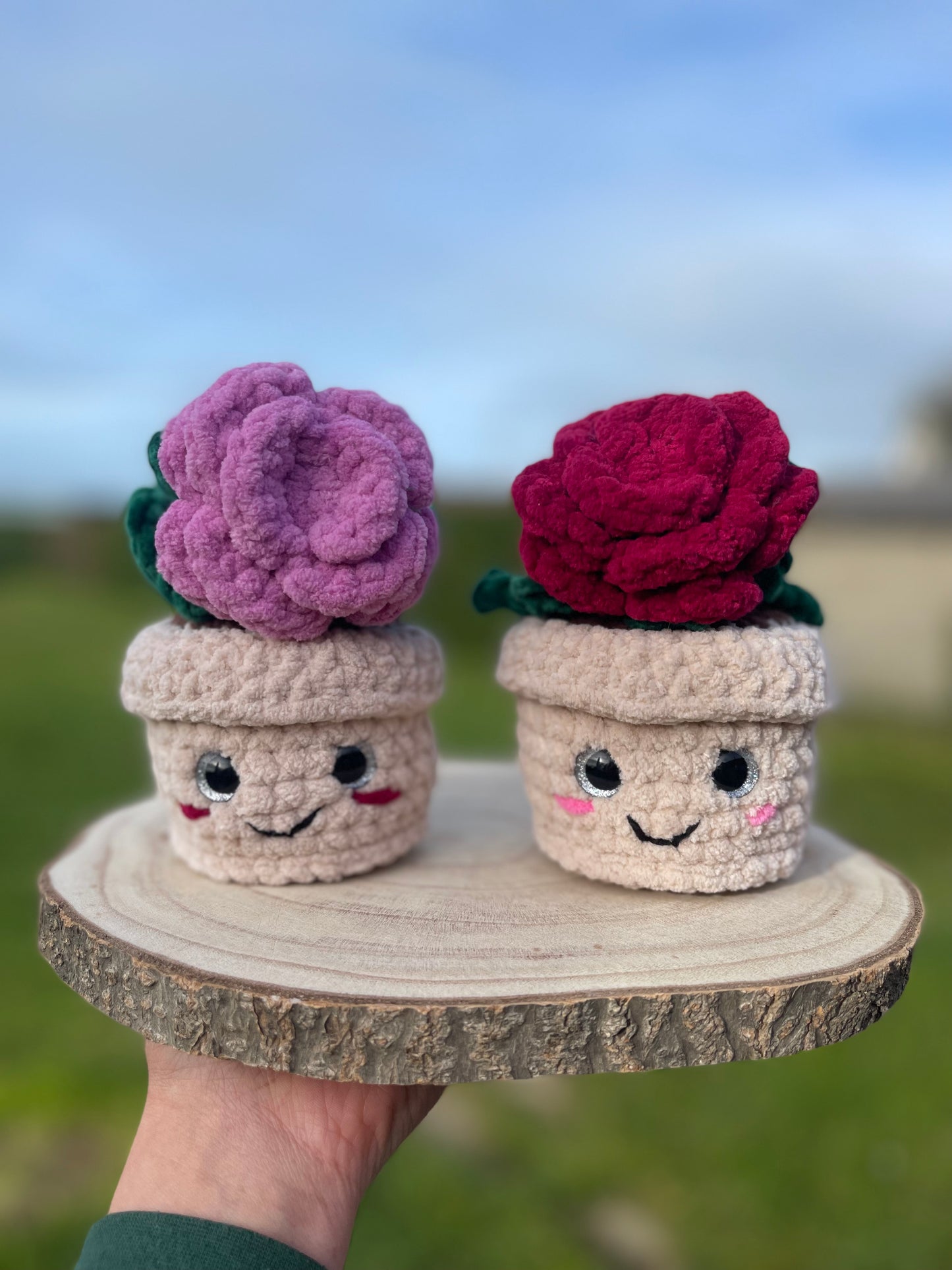 Rose éternelle 🌹