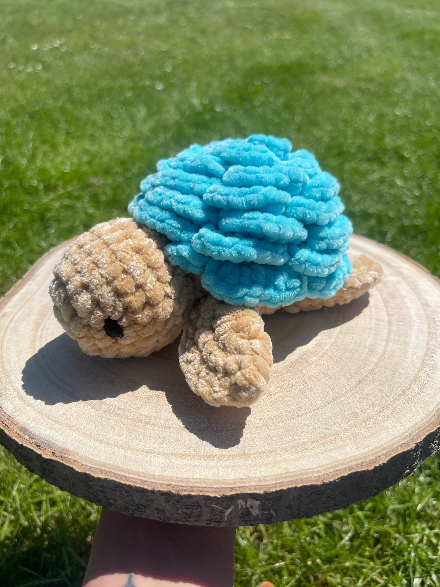 Tortue fleur 🌸