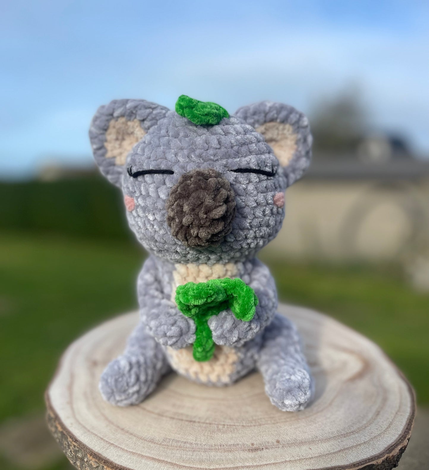 Noah le Koala 🐨
