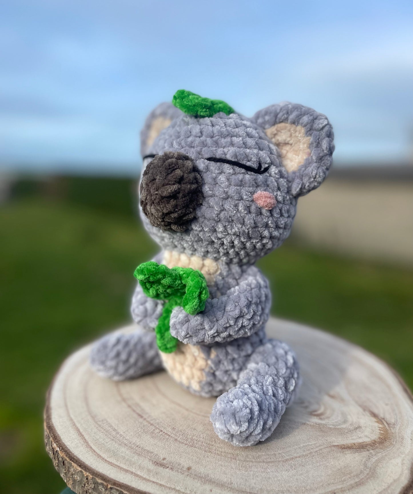 Noah le Koala 🐨