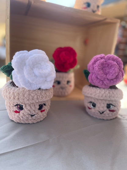 Rose éternelle 🌹