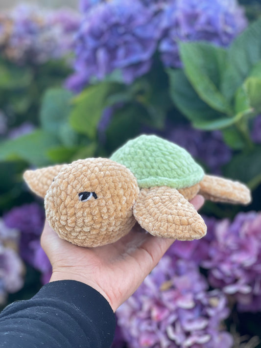 Candy la tortue 🐢